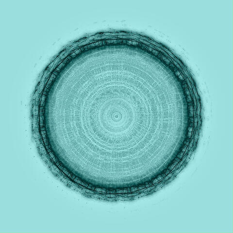 Looping Citadel